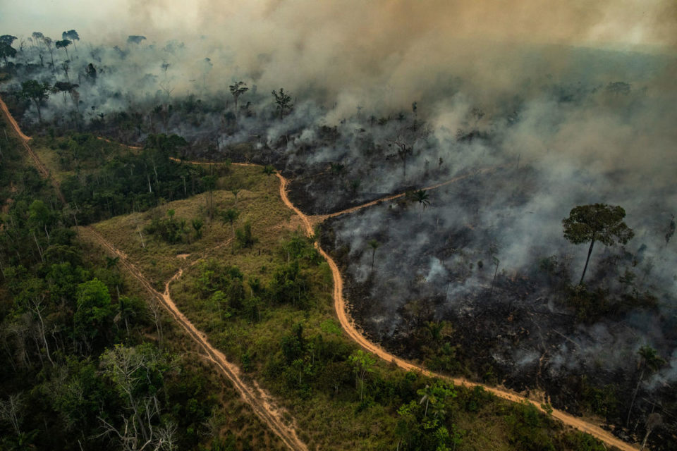 Les forêts brûlent, partout dans le monde. Par leur complicité ou leur attentisme, les dirigeants du monde entier mettent en péril l’avenir de notre planète : pendant que la langue de bois règne, les forêts prennent feu.