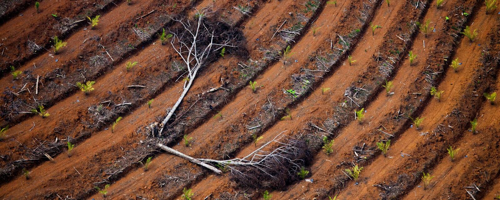 Grâce à une enquête sur la chaîne d'approvisionnement de Total, avec entre