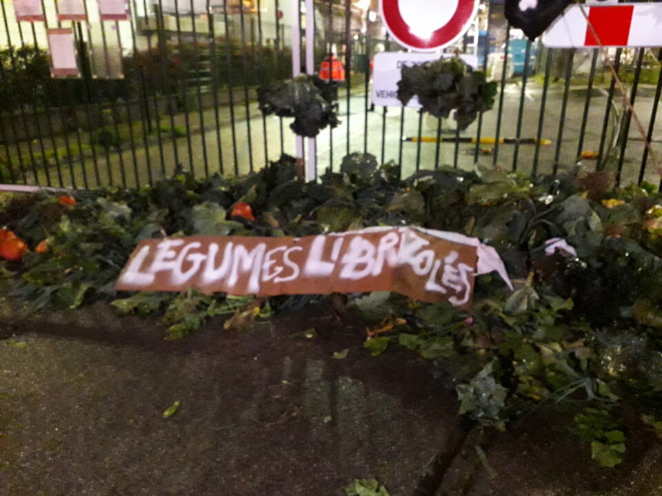 Ce mardi 26 novembre, le Groupe Local a participé à une nouvelle manifestation