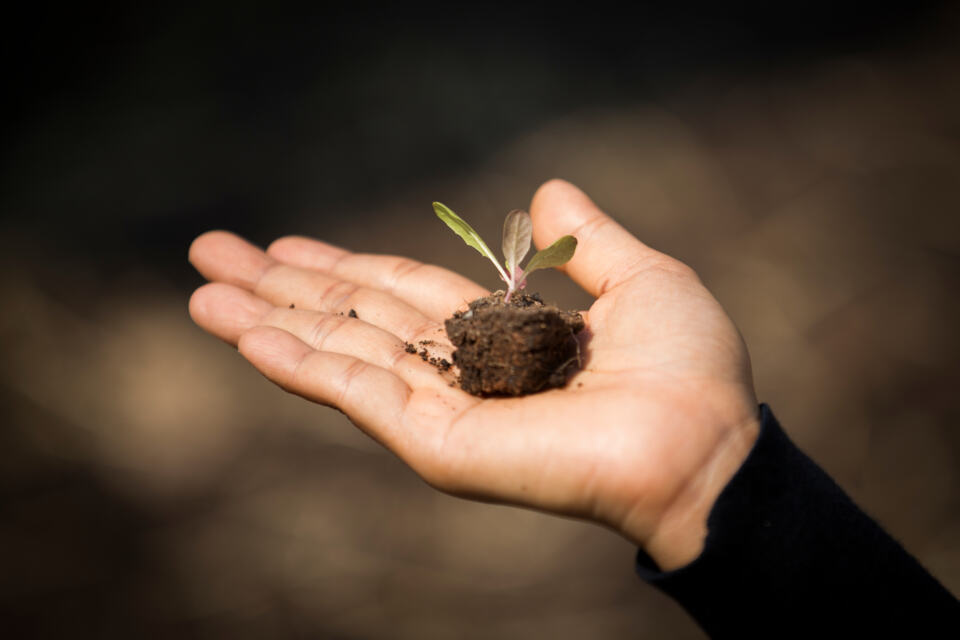 Il y a quelques années, on entendait beaucoup parler de “fracture sociale”. Aujourd’hui, cette fracture est devenue aussi environnementale, climatique, économique, morale et planétaire. Le fossé s’est creusé entre le dogme de la croissance infinie et les ressources limitées de notre planète, entre les intérêts des entreprises et l’intérêt général, entre les richesses produites et leur redistribution. 
