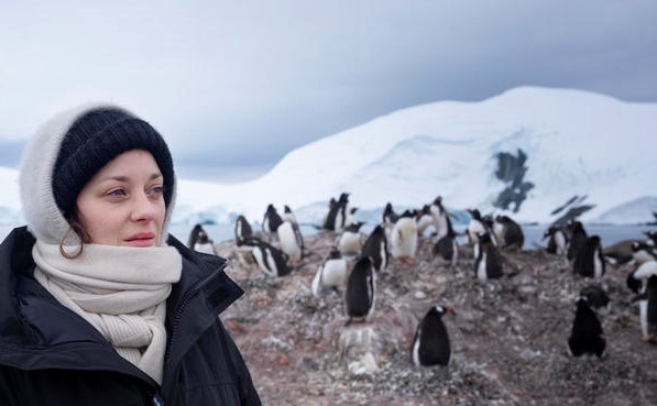 L’océan Antarctique est la dernière étape de l’expédition Protect The Oceans qui a commencé en avril dernier en Arctique. Comme de nombreux écosystèmes marins, l’Antarctique est menacé par les dérèglements climatiques et les activités de pêche industrielle. 