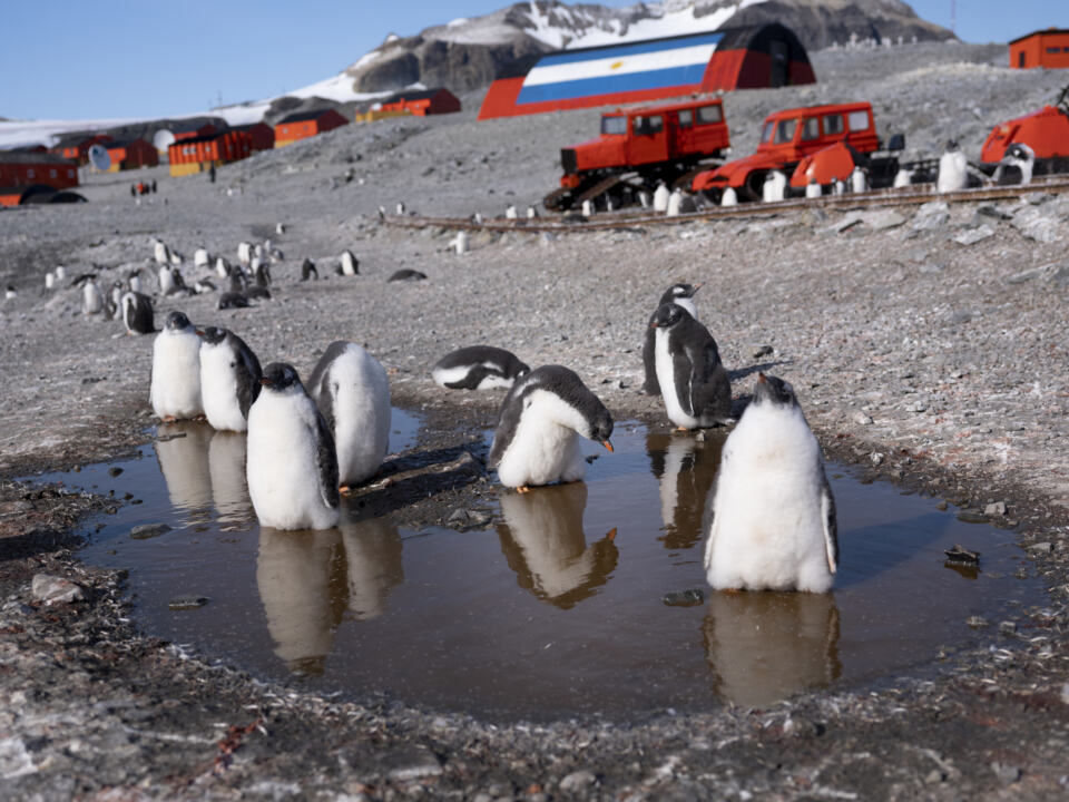 Alors que nous nous trouvons en Antarctique depuis un mois pour y examiner les impacts du changement climatique, un nouveau record de chaleur vient d’être enregistré sur le continent blanc. De quoi donner des sueurs froides à nos scientifiques, sur place pour notamment recenser les manchots, dont les colonies sont affectées par la hausse des températures.