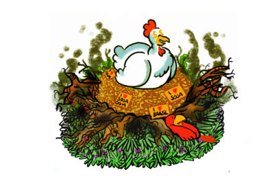 BD soja déforestation