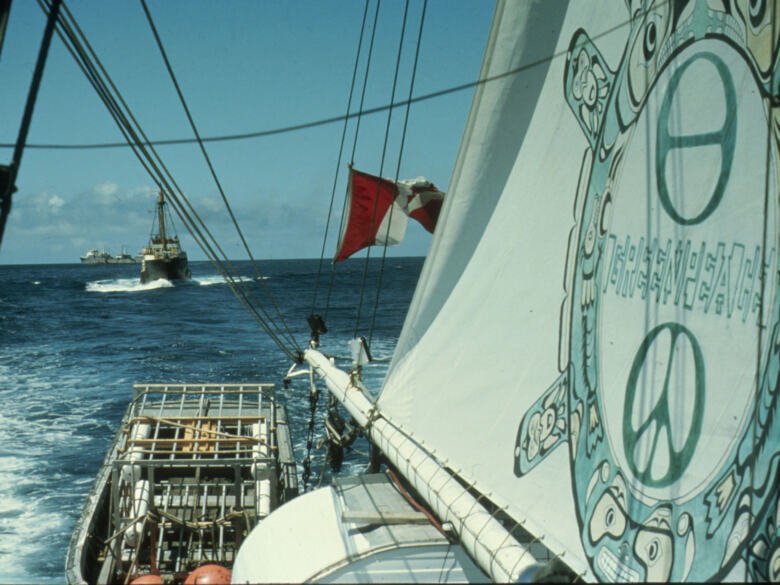 Toute première action de confrontation non violente contre des baleiniers russes, océan Pacifique nord, juins 1975. © Greenpeace / Rex Weyler