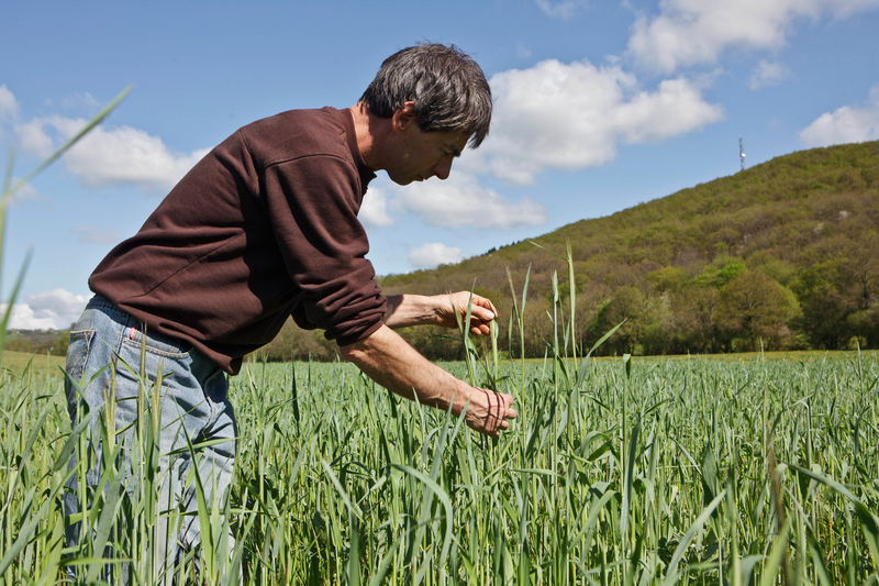 La crise du coronavirus exerce une forte pression sur notre agriculture. En ces temps difficiles, privilégier une alimentation équilibrée, durable et solidaire est une excellente façon de soutenir un modèle agricole vertueux tout en préservant sa santé.