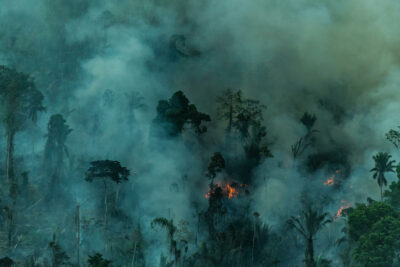 Coronavirus, agriculture et déforestation : on vous dit tout !
