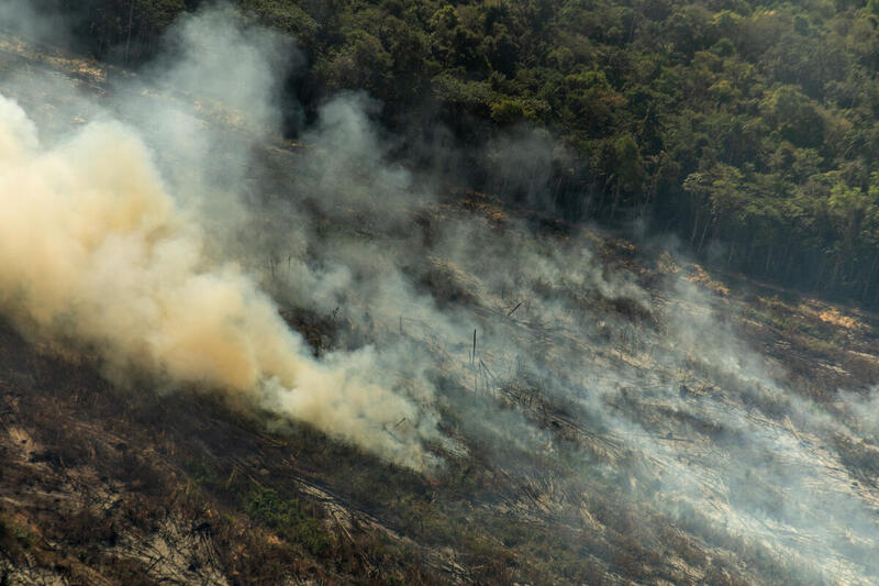 Le 14 novembre 2018, le gouvernement adoptait une Stratégie nationale de lutte contre la déforestation importée. En mai 2019, le ministère de l’Agriculture annonçait la publication en juin 2019 d’une nouvelle stratégie sur les protéines végétales pour entre autre rendre la France moins dépendants des importations de soja, qui contribuent à la déforestation. En août 2019, Emmanuel Macron disait s’opposer à l’accord de libre-échange entre l’UE et le Mercosur suite aux incendies catastrophiques qui ont ravagé l’Amazonie. Nous sommes en août 2020, et les feux menacent de nouveau dangereusement cette forêt primaire. Qu’en est-il des promesses gouvernementales ?