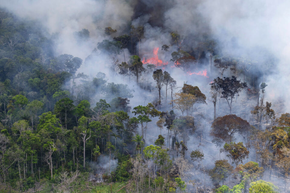 Image de déforestation en Amazonie brésilienne - Crédits photographiques : Daniel Beltra, Greenpeace