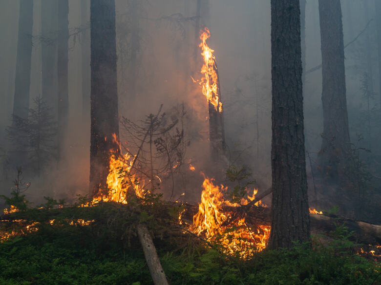 Des volontaires de Greenpeace Russie aident à combattre les incendies dans la réserve de Denezhkin Kamen près des montagnes de l'Oural-6-2