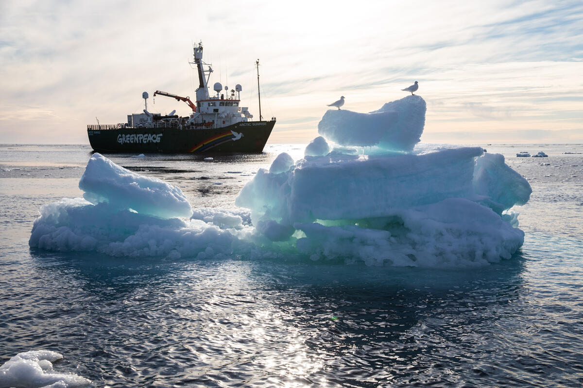 MY Arctic Sunrise in the Arctic Sea. © Daniella Zalcman