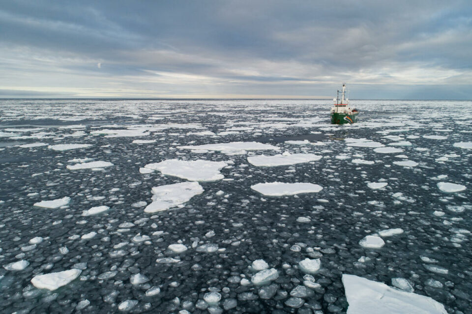 La banquise de l’océan Arctique vient d’atteindre sa deuxième superficie la plus basse jamais enregistrée. Elle a déjà perdu les deux tiers de son volume, et sa surface diminue de manière constante depuis ces dernières décennies. Cette fonte hors de contrôle est un cri d’alarme du changement climatique et des menaces qui pèsent sur notre planète. Nos responsables politiques sauront-ils l’entendre ? 