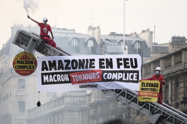 Greenpeace en action contre la déforestation importée