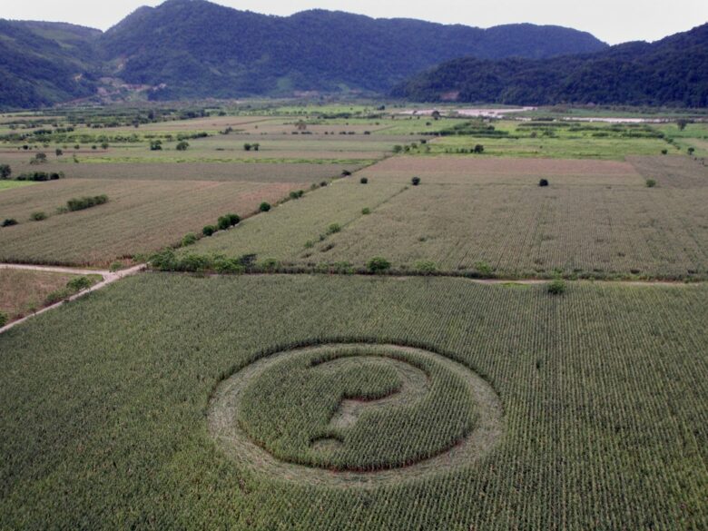 Aerial of GE Crop Circle Action in Mexico. © Gustavo Graf