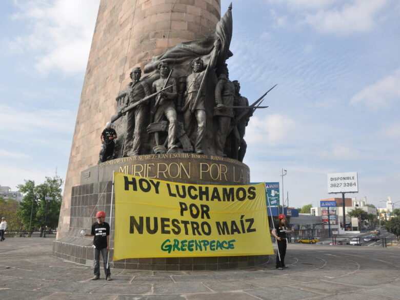 FAO Protect Our Maize Action in Mexico. © Agustin Martinez