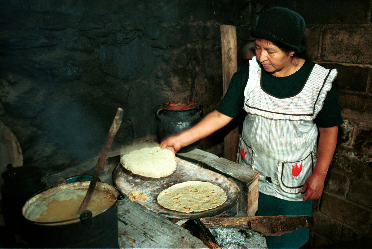 Documentation on GE Maize in Mexico. © Tomas Bravo Garcia