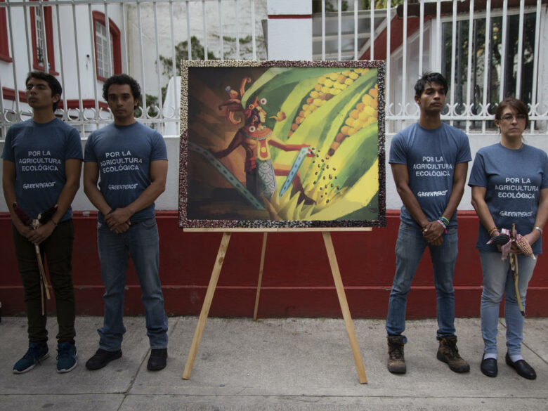 Action for the Protection of Native Corn Species in Mexico. © Ilse Huesca Vargas