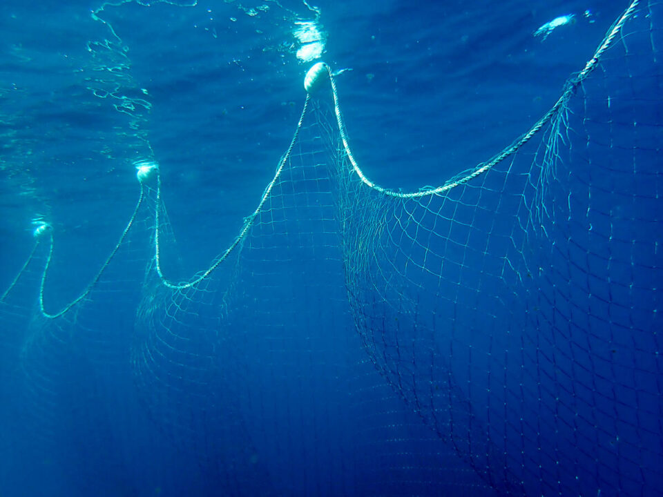 Loin des yeux, loin du cœur… Greenpeace vient de mener une enquête dans le nord-ouest de l’océan Indien où, à l’abri des regards, la pêche industrielle menace la santé des fonds marins, la survie de certaines espèces ainsi que les ressources des communautés locales.