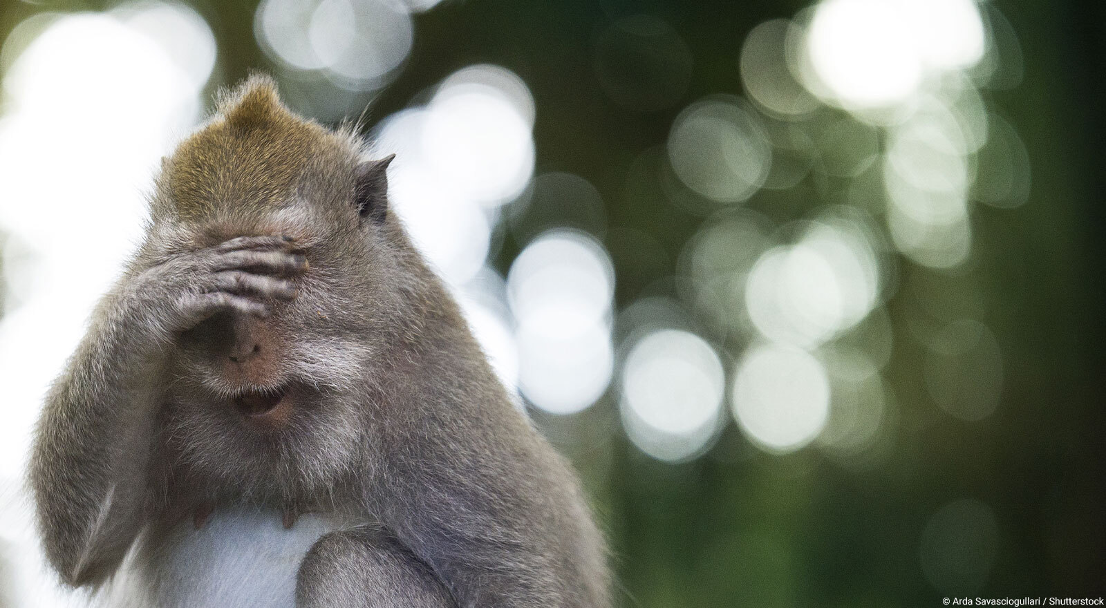 Dix-huit mois après la création de la Convention citoyenne pour le climat, la loi Climat et résilience est sortie de l'Assemblée nationale dans un état de déliquescence parfaitement assumé par le gouvernement, qui y voit “une écologie du quotidien”. Que trouve-t-on vraiment dans la loi climat ? Cherchons ensemble.