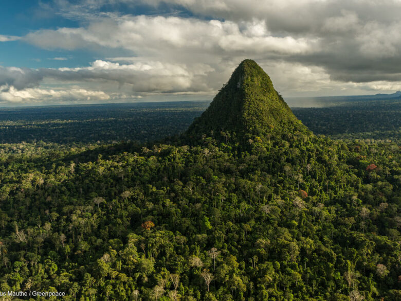 Amazonie : un inestimable patrimoine écologique en danger