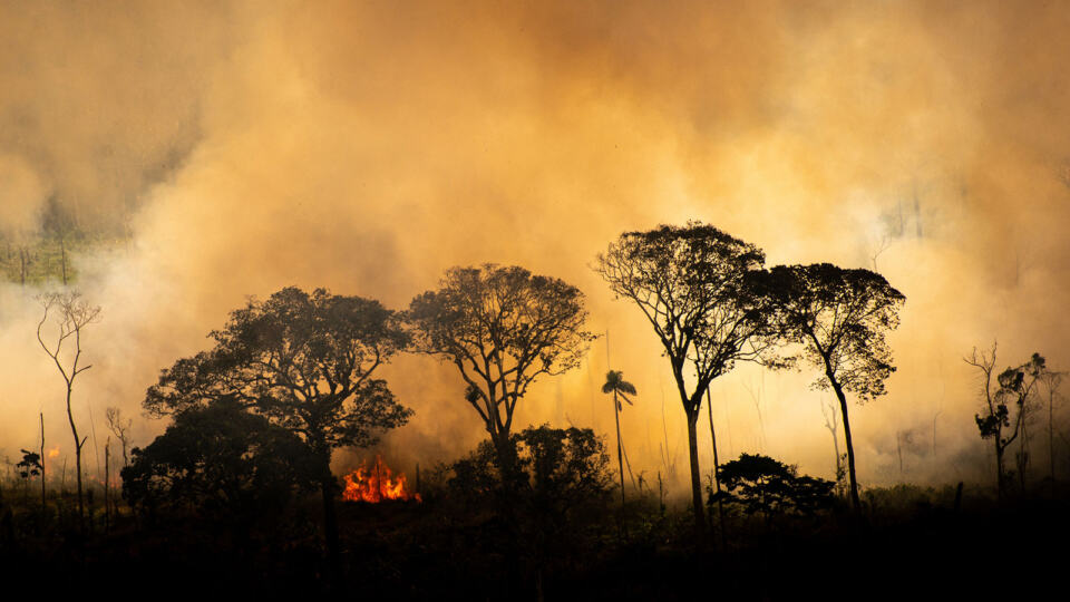  - © Christian Braga / Greenpeace