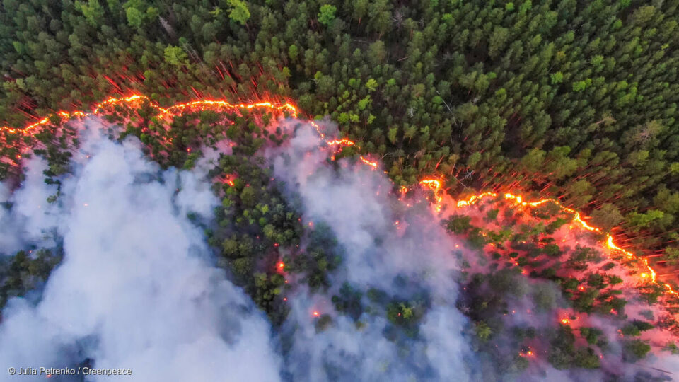 Le changement climatique n’est plus une menace hypothétique ; c’est une réalité qui se manifeste aujourd’hui, sous nos yeux. Une réalité documentée et étudiée année après année par des milliers de scientifiques, dont les travaux ont été scrupuleusement analysés et synthétisés par le Groupe d’expert·es intergouvernemental sur l’évolution du climat (GIEC). Cet organisme onusien, chargé d’évaluer l’état des connaissances sur l’évolution du climat, ses causes et ses impacts, vient de publier la première des trois parties de son sixième rapport d’évaluation, consacrée aux « éléments scientifiques » sur le dérèglement climatique. Un état des lieux implacable et plus alarmant encore que les précédents. Nous avons résumé pour vous cinq points clés de ce rapport. 
