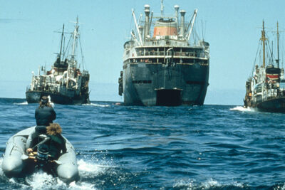 Russian Whaling Fleet in North Pacific