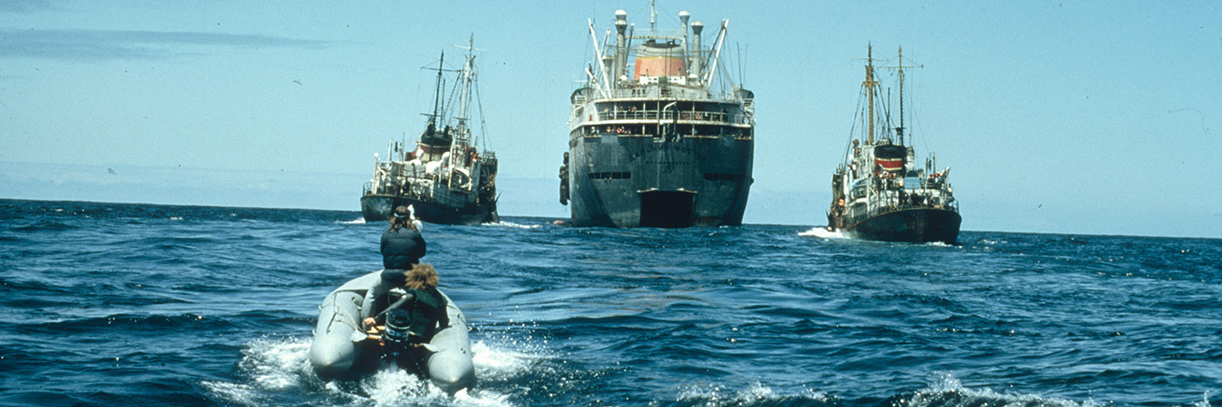 Notre organisation vient de traverser un demi-siècle de mobilisations et de campagnes portées par nos valeurs de non-violence, d'indépendance politique et financière, mais aussi 50 ans de victoires et d'espoir. Nous gardons la conviction qu'il est possible de relever les défis considérables posés à l'humanité si la défense de l'environnement, la justice et la paix deviennent les combats du plus grand nombre. La preuve en histoire : 