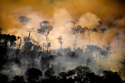 3 raisons d’agir contre la déforestation en Amazonie