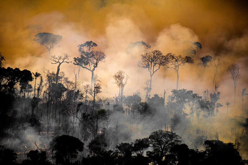 Déforestation en Amazonie, forêt en feu - Heat spots in areas with Prodes (2017-2019) and Deter warnings, in Lábrea, Amazonas state.
Every year, Greenpeace Brazil flies over the Amazon to monitor deforestation build up and forest fires. In August, 2020, flights were made over points with Deter (Real Time Deforestation Detection System) and Prodes (Brazilian Amazon Satellite Monitoring Project) warnings, besides heat spots notified by Inpe (National Institute for Space Research), in the states of Amazonas, Rondônia, Mato Grosso and Pará.
Focos de calor em área de Prodes (2017-2019) e Deter, no Município de Lábrea (AM).
Todos os anos, o Greenpeace Brasil realiza uma série de sobrevoos de monitoramento para registrar o avanço do desmatamento e das queimadas na Amazônia. Em agosto de 2020, monitoramos pontos com alertas do Deter e Prodes, além de pontos de calor, do Inpe, nos estados do Amazonas, Rondônia, Mato Grosso e Pará.