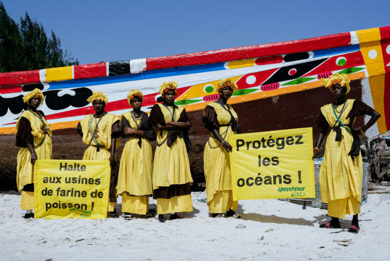 World Fisheries Day Event in Dakar. © Omar Bayo Fall