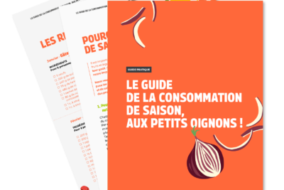 Guide des fruits et légumes de saison en France !