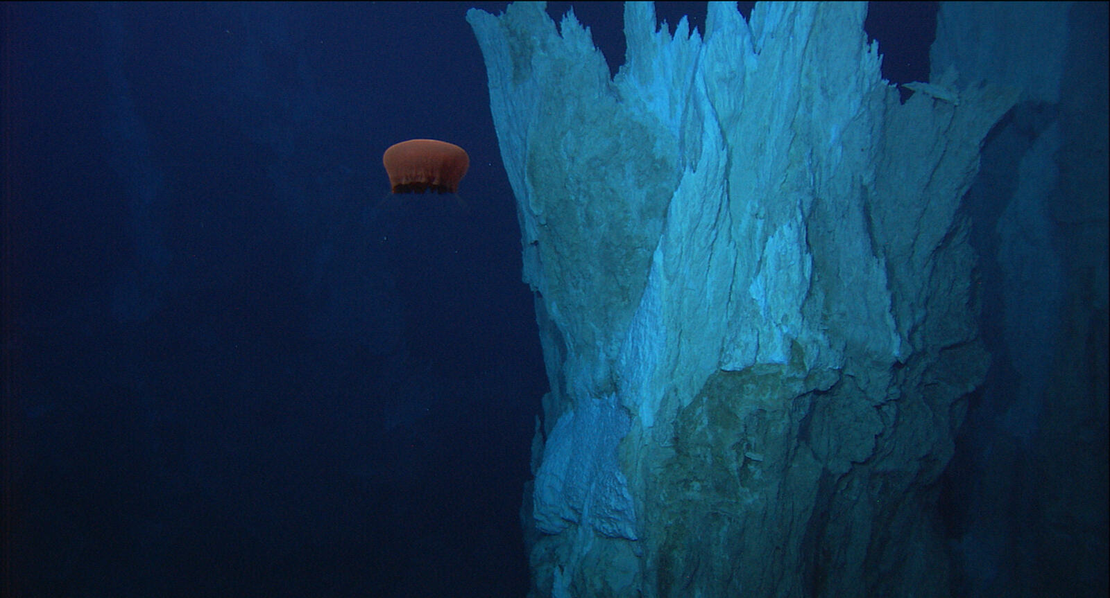  - © NOAA/IFE/UW/URI-IAO