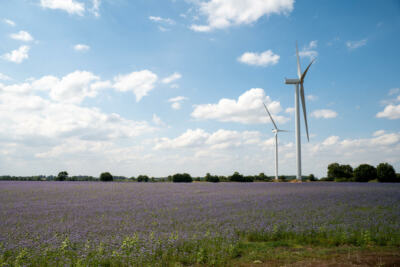 Quel est l’impact environnemental des éoliennes ?