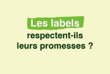 Stand labels alimentaires
