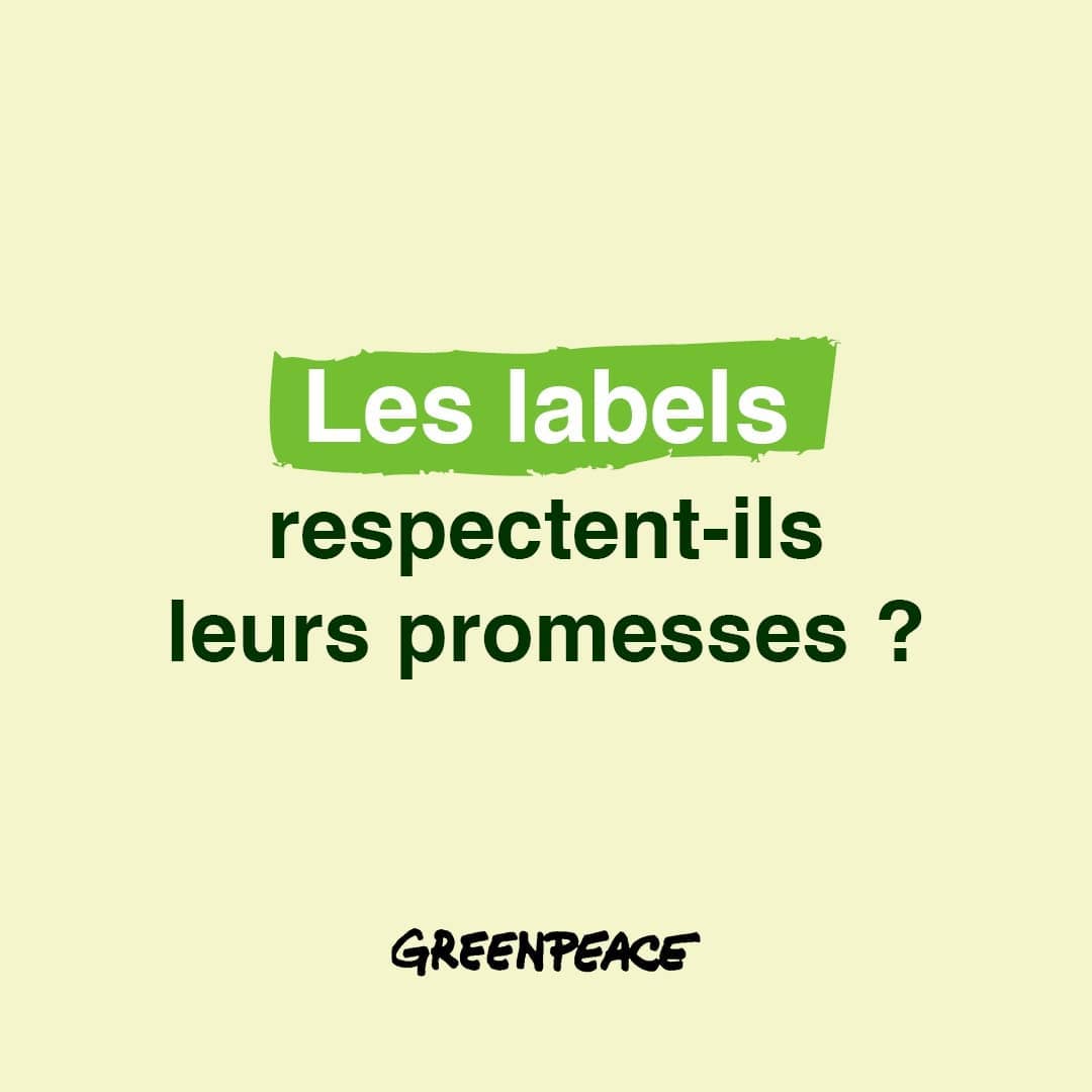 
Nous étions ce samedi 23 octobre devant l'hyper U de Grand-Quevilly de 10h 
