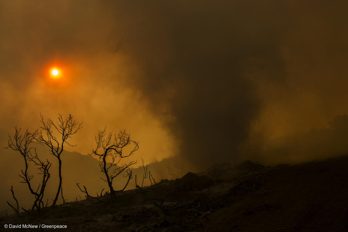 Grands gagnants des politiques économiques et fiscales d'Emmanuel Macron, y c