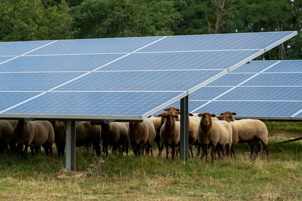 La Petite Vicomté Solar Power Plant in France. © Jeronimo Acero - La Petite Vicomté Solar Power Plant located near the Sorges bridge in Les Ponts-de-Cé (Maine-et-Loire), not far from Angers.