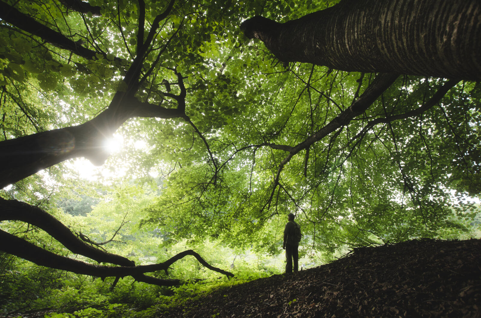 Rejoignez le mouvement !