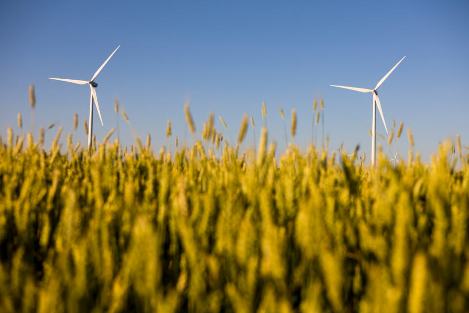 Wind Turbines and Farm Crops. © Daniel Beltrá - © Greenpeace / Daniel Beltrá