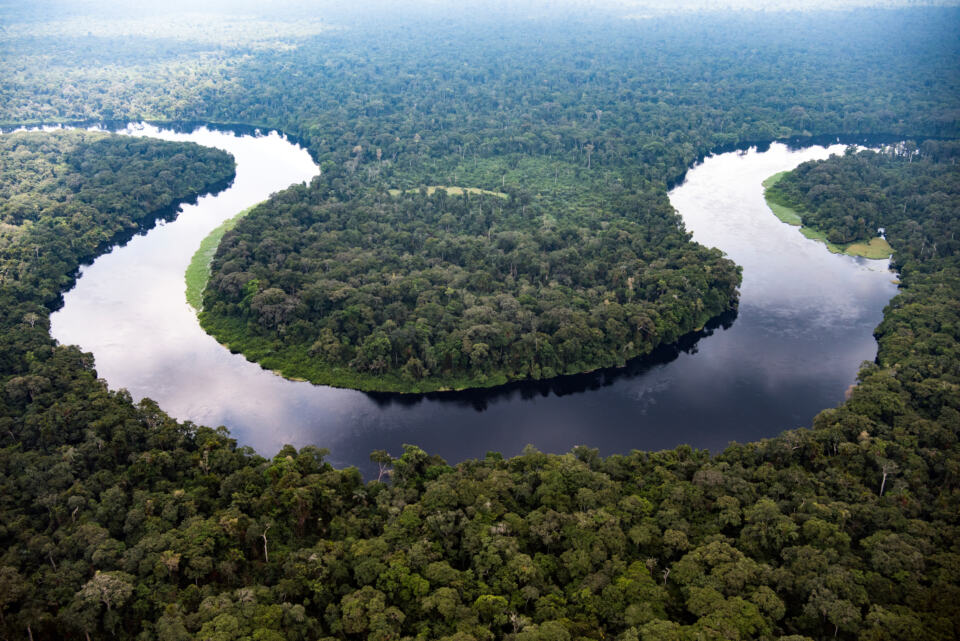 Monboyo River and Peatland Forest in DRC - Aerial view of Monboyo River and peatland forest of Salonga National Park south-east of Mbandaka, Democratic Republic of the Congo. Greenpeace is documenting ground-level research into satellite data on vast peatland areas recently discovered by scientists in the swamps of the Congo Basin rainforest, as well as affected communities and the natural environment. The most carbon-rich tropical region in the world is estimated to store the equivalent of three years’ worth of total global fossil fuel.