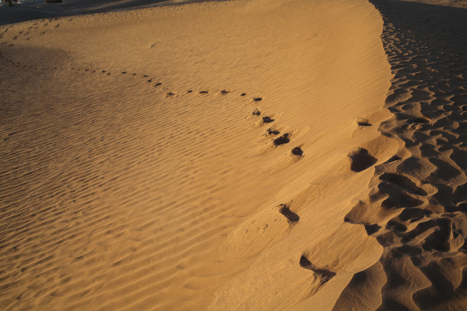 Qu’est-ce qu’un legs ? – crête de dune, désert marocain - As part of Greenpeace's campaigns aiming to shed light on the effects of climate change in the MENA, Greenpeace visited and witnessed the climate change impact in one of the Moroccan oases - Mahamid ElGhezlan. Greenpeace released a documentary titled 