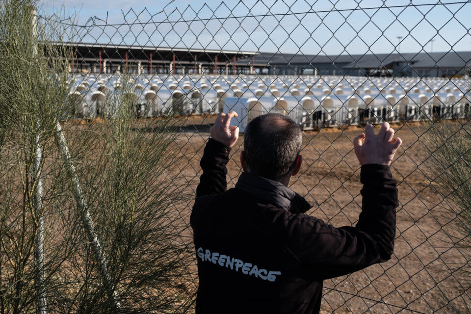 Cet article rédigé par notre collège Luis Ferreirim de Greenpeace Espagne a 