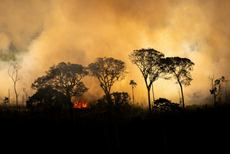 Déforestation et incendies en Amazonie.
