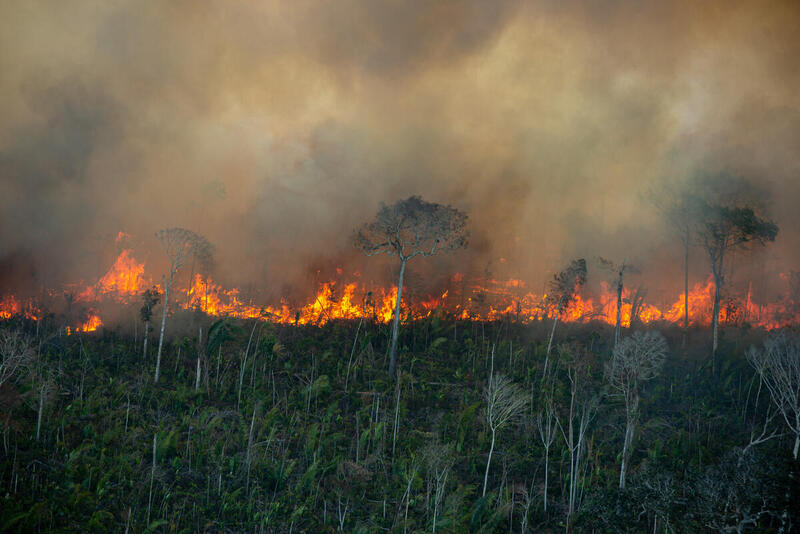  - Fire line moves through a degraded forest area in an undesignated public forest area in Porto Velho, Rondônia state.
Every year, Greenpeace Brazil flies over the Amazon to monitor deforestation build up and forest fires. From July 29th to 31st, 2021, flights were made over points with Deter (Real Time Deforestation Detection System) and Prodes (Brazilian Amazon Satellite Monitoring Project) warnings, besides heat spots notified by Inpe (National Institute for Space Research), in the states of Amazonas, Rondônia, Mato Grosso and Pará.
Coluna de fogo avança sobre floresta degradada em área de floresta pública não destinada em Porto Velho, Rondônia.
Todos os anos o Greenpeace Brasil realiza uma série de sobrevoos de monitoramento, para acompanhar o avanço do desmatamento e das queimadas na Amazônia. De 29 a 31 de julho de 2021, monitoramos pontos com alertas do Deter e Prodes, além de pontos de calor, do Inpe, nos estados do Amazonas, Rondônia, Mato Grosso e Pará