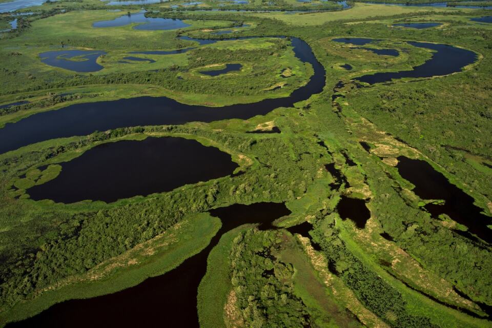 Vue aérienne de la zone humide du Pantanal. - Vue aérienne du Pantanal.