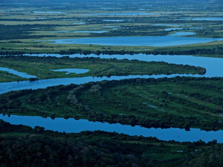 Vue aérienne des zones humides du Pantanal.