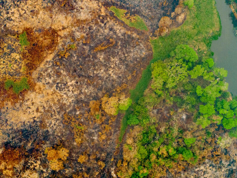 Le résultat des incendies au Pantanal.