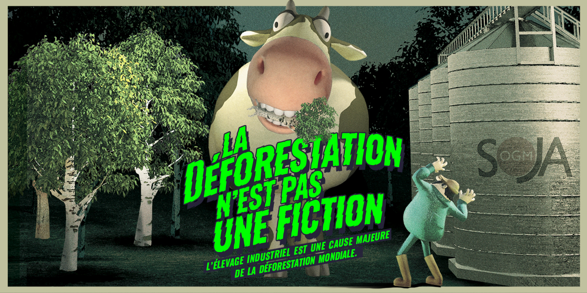 La D Forestation Nest Pas Une Fiction Greenpeace France