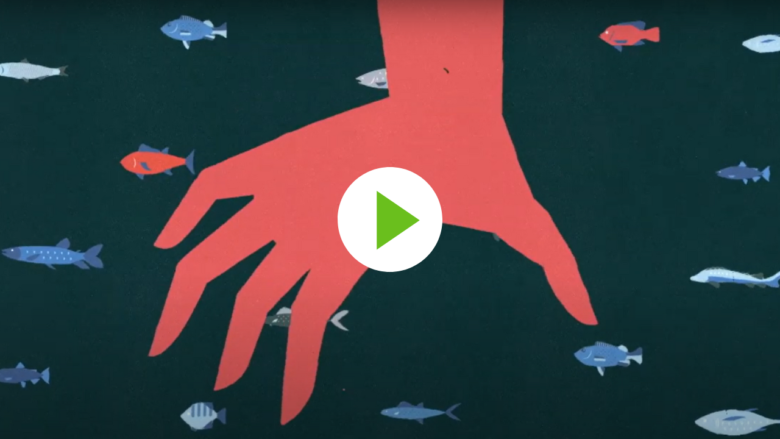 Extrait de la vidéo éducative Les océans sont-ils en danger ?