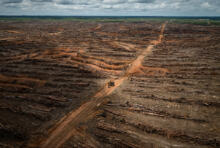 L’Union européenne adopte une réglementation ambitieuse pour lutter contre la déforestation importée.